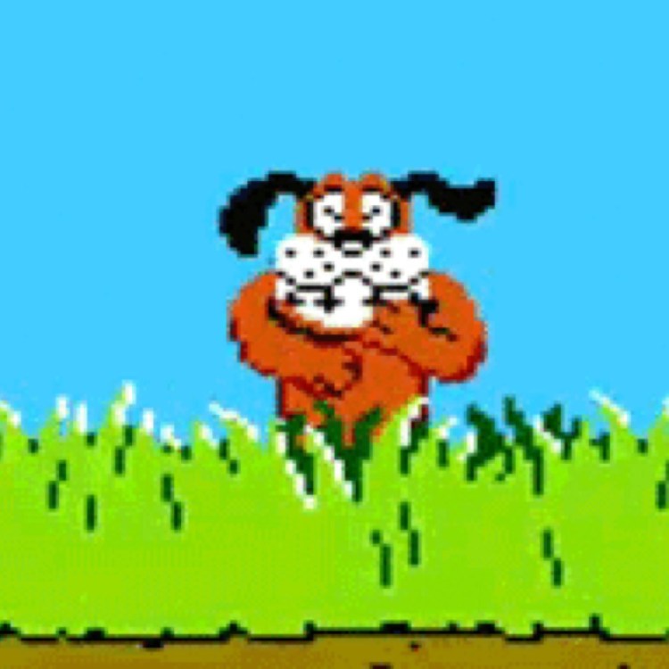 Собака из Duck Hunt gif