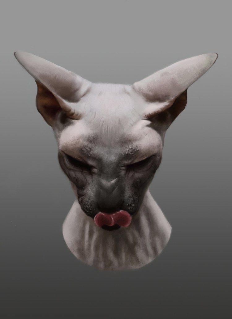 Смешные сфинксы