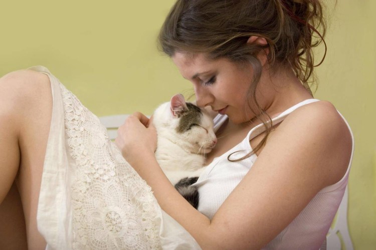 Кошка с хозяйкой