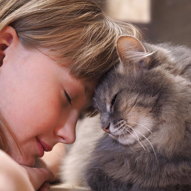 Объятия лечат