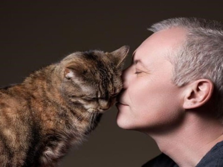 Кошка ласкается о человека