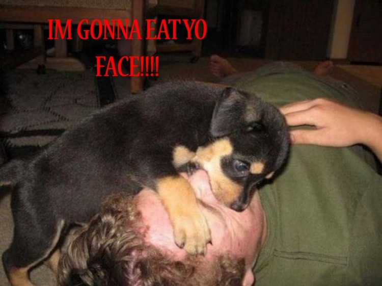 Искусственное дыхание животному