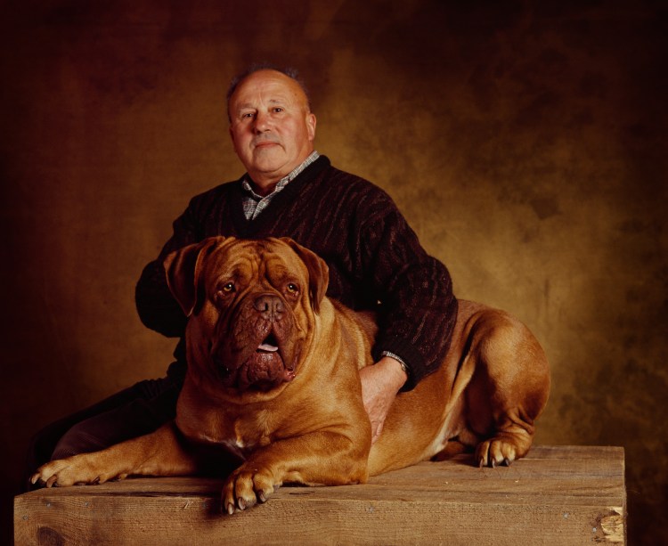 Бригада сериал собака