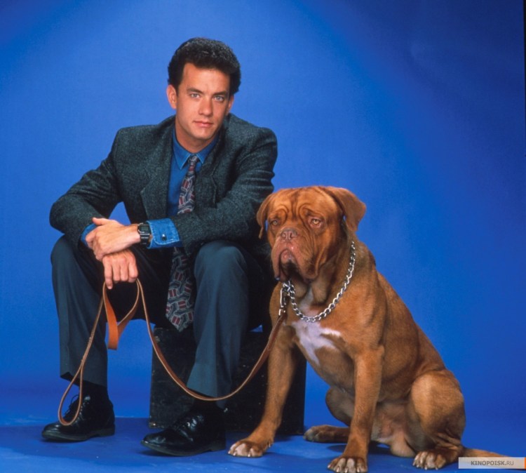 Горный мастиф