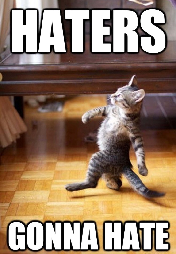 Нагадил в тапок человечий