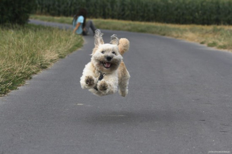 Пять секунд полет нормальный