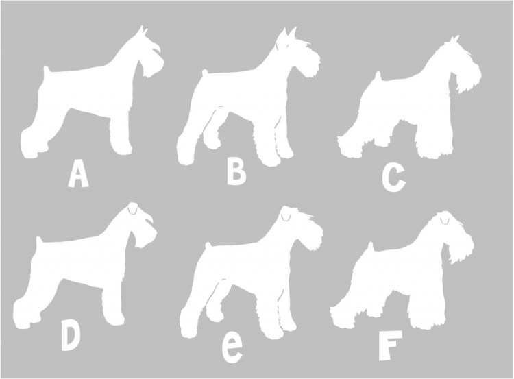 Шнауцер вектор