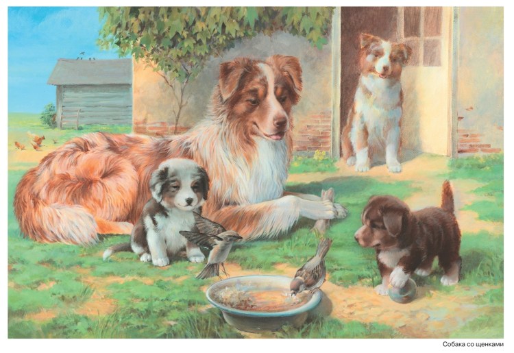 Три немецкие овчарки