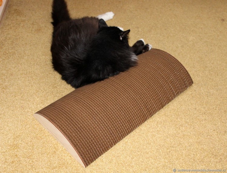 Кошачьи принадлежности