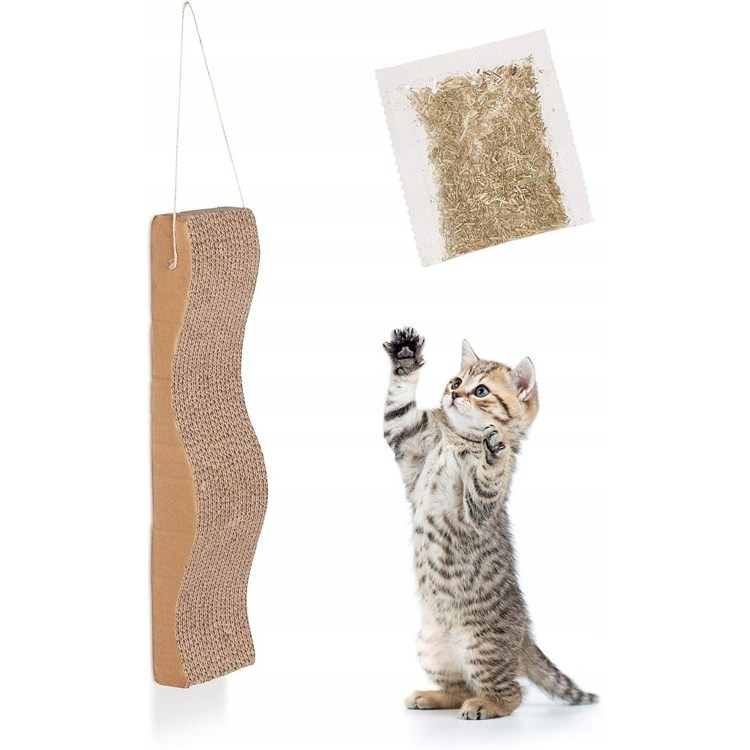 Аксессуары для котов