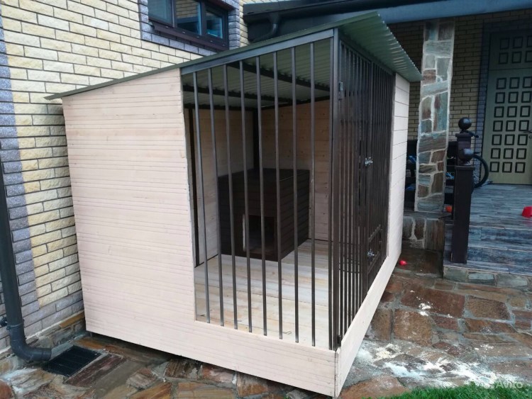 Дрессировка американской акиты