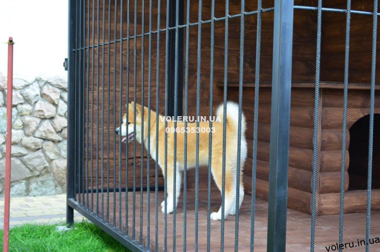 Вольер для собаки Акита-ину