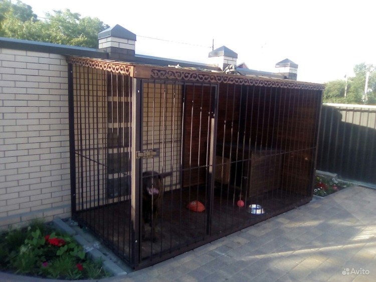 Вольер для американской акиты