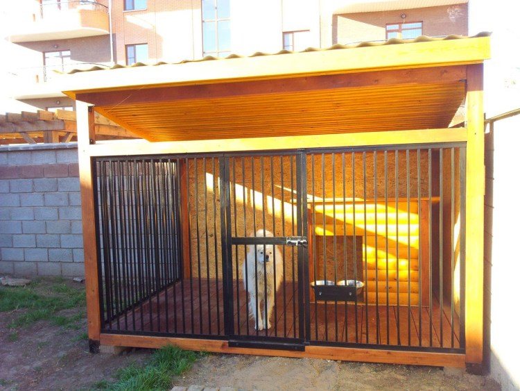 Вольер для собаки Акита-ину