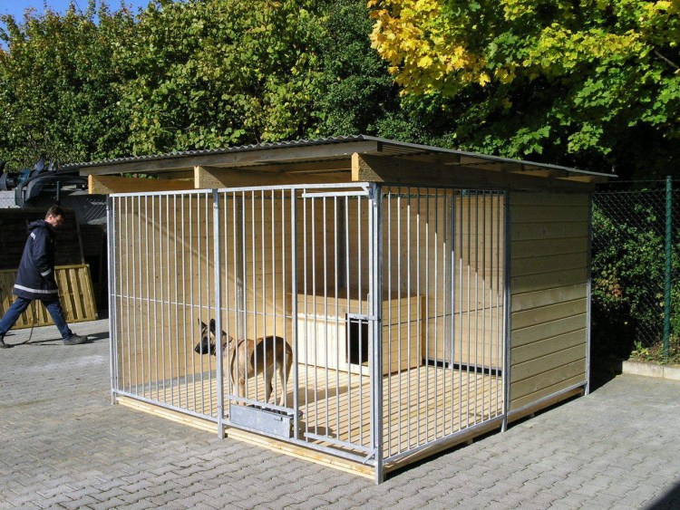 Клетки звери в клетках фэнтези