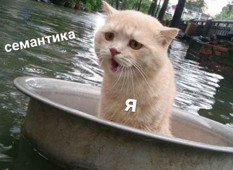 Кот в тазу