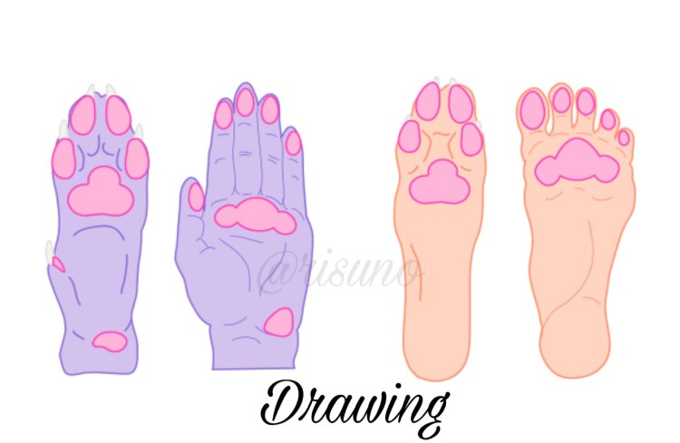 Пушистые лапки