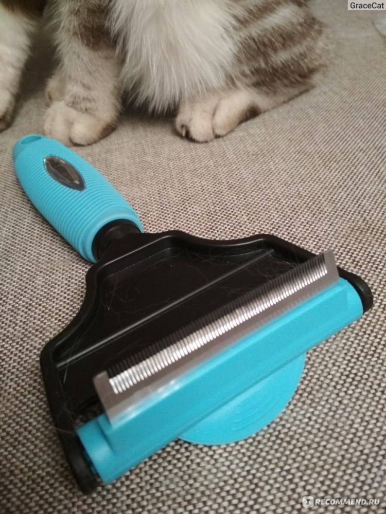 Расческа для шотландских кошек