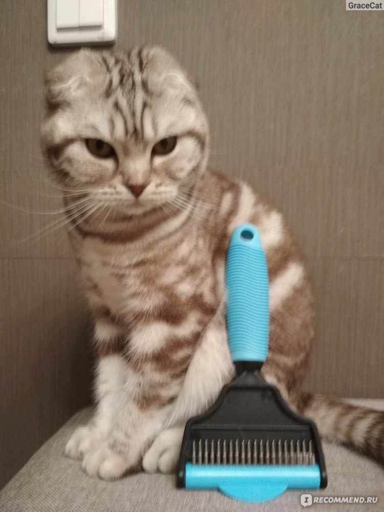 Расчёска для кошек фурминатор Шотландская вислоухая кошка