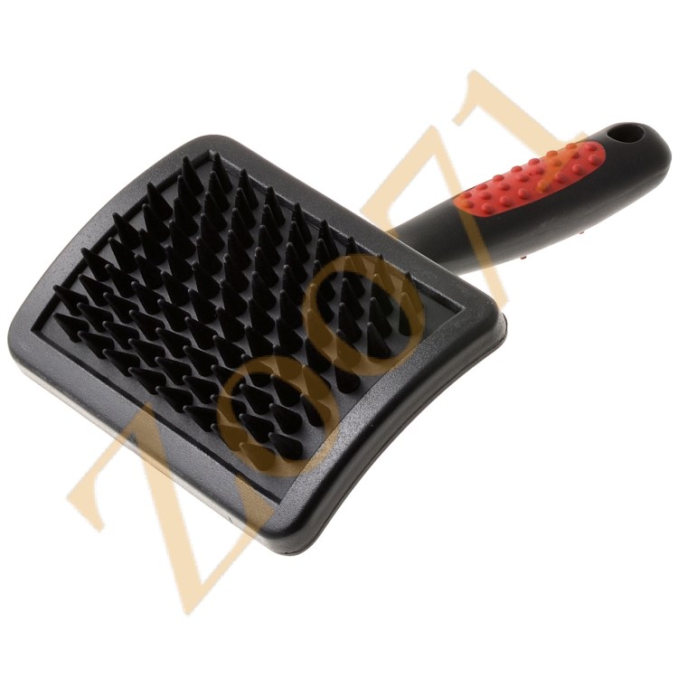 Кот с зубной щеткой