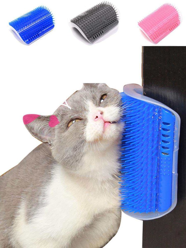 Кошку расчесывают