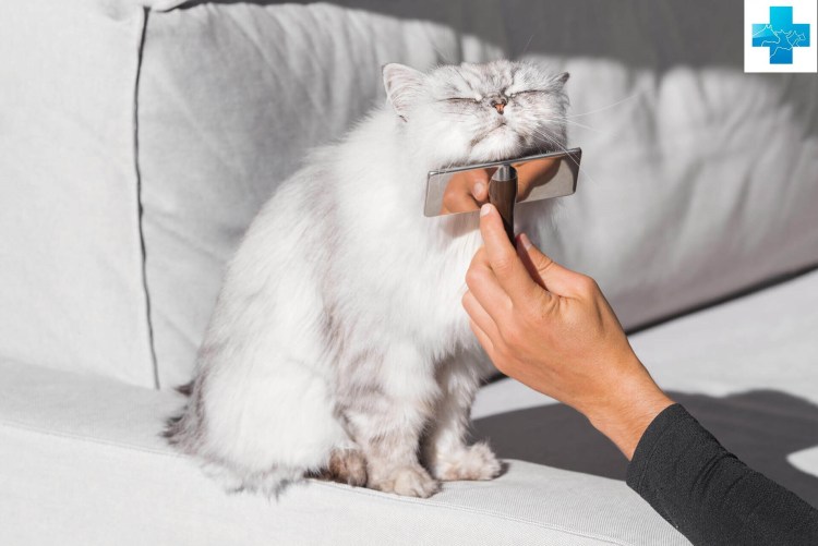 FURMINATOR для кошек больших длинношерстных пород long hair large Cat 7 см