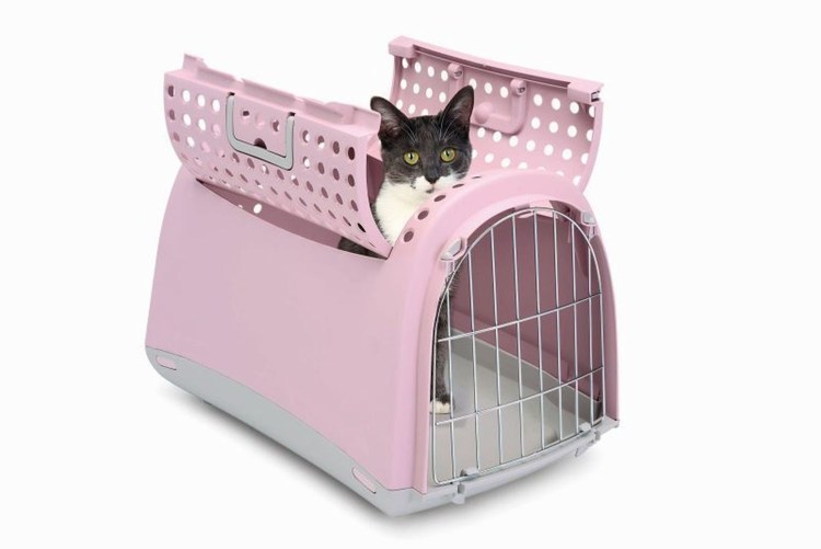 Имак переноска для животных carry Sport