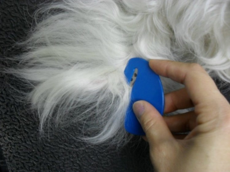 Как убрать колтуны у кошки в домашних условиях из шерсти