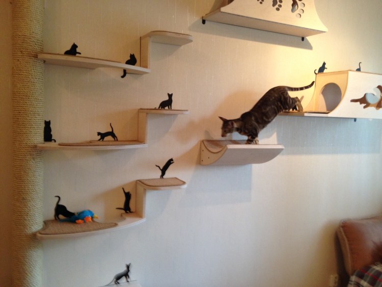 Полки для кошек