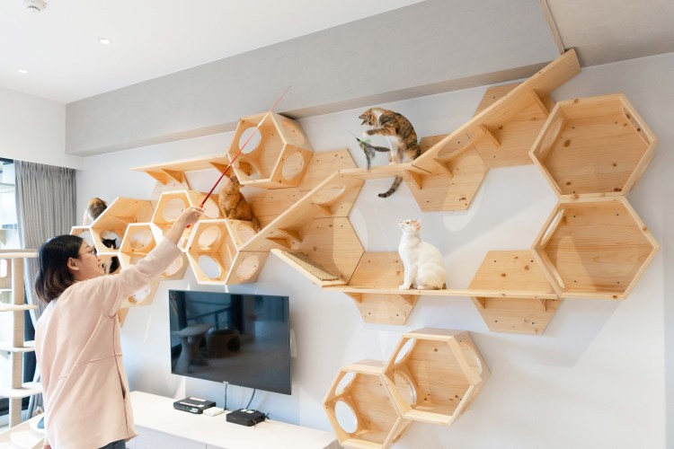 Кошачий домик лазалка