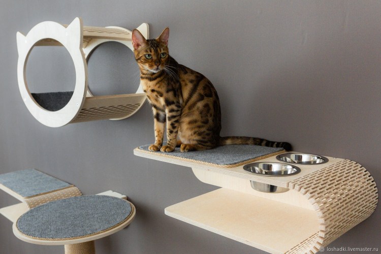 Полка настенная для кошек