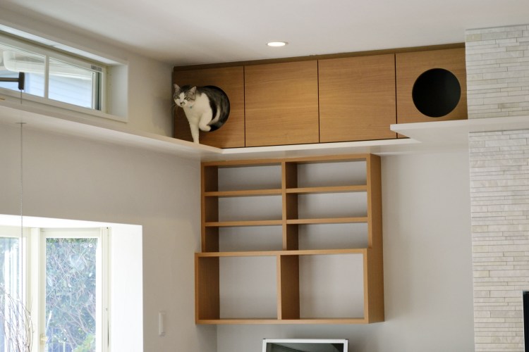 Стенка для кошек