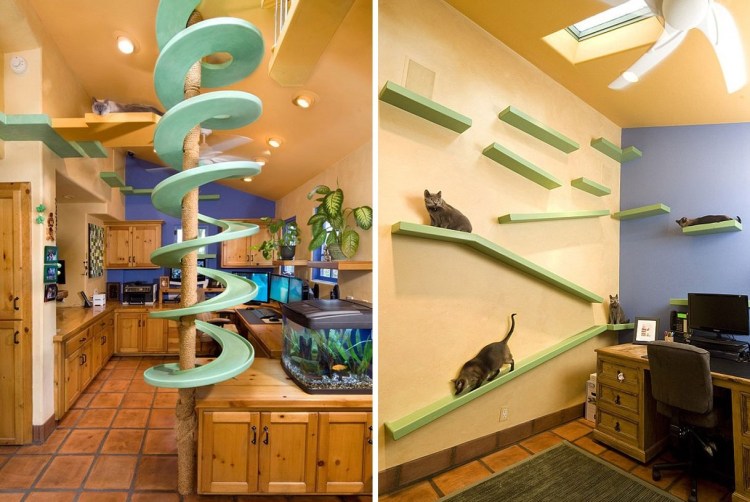 Стенка для кошек