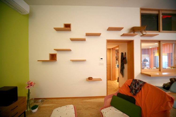 Кошачий домик на стене