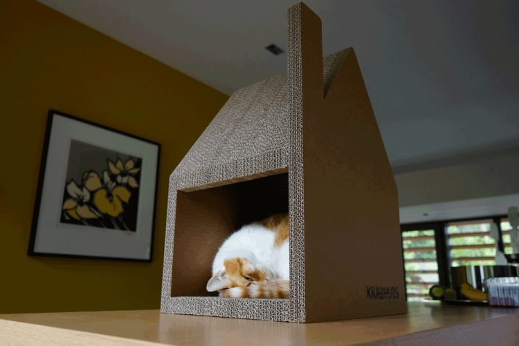 Новогодний кошачий домик