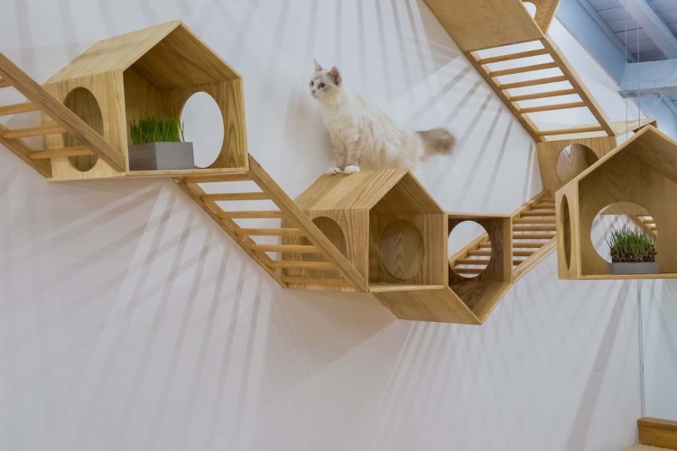 Домик для трех кошек