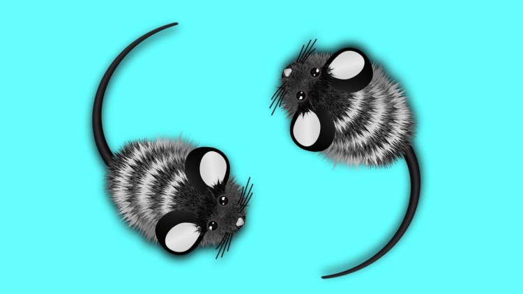 Мышка для кота на экране