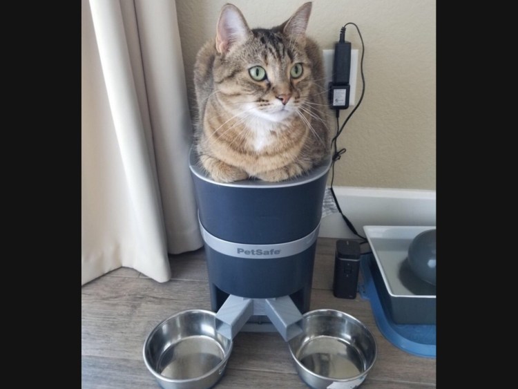 Кормушка для кошек Automatic Water Feeder