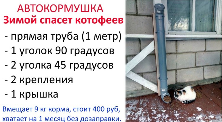 Кошачий дом в Турции