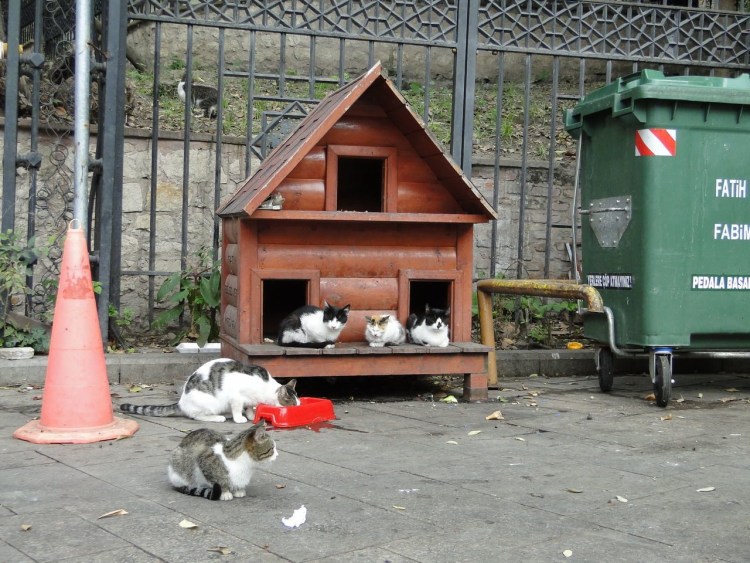 Кормушка Feed and go Automatic Feeder