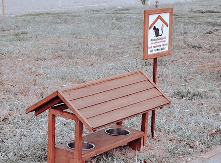 Уличные кормушки для собак