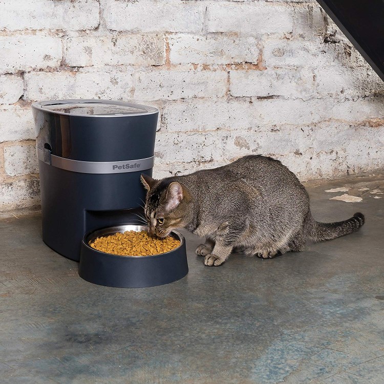 Petsafe Smart Feed Automatic