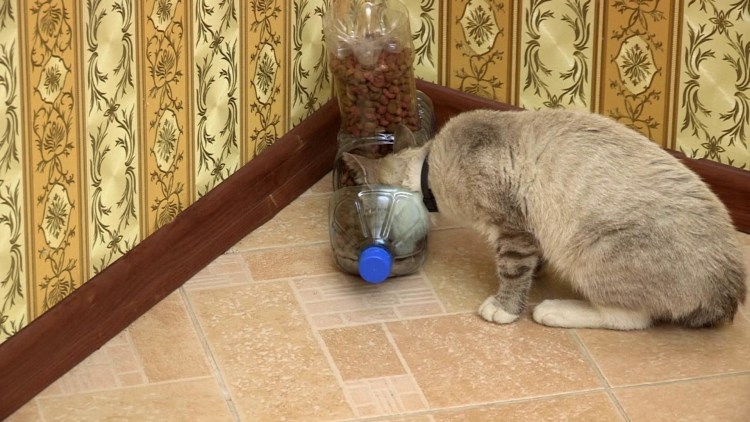 Pet Feeder кормушка