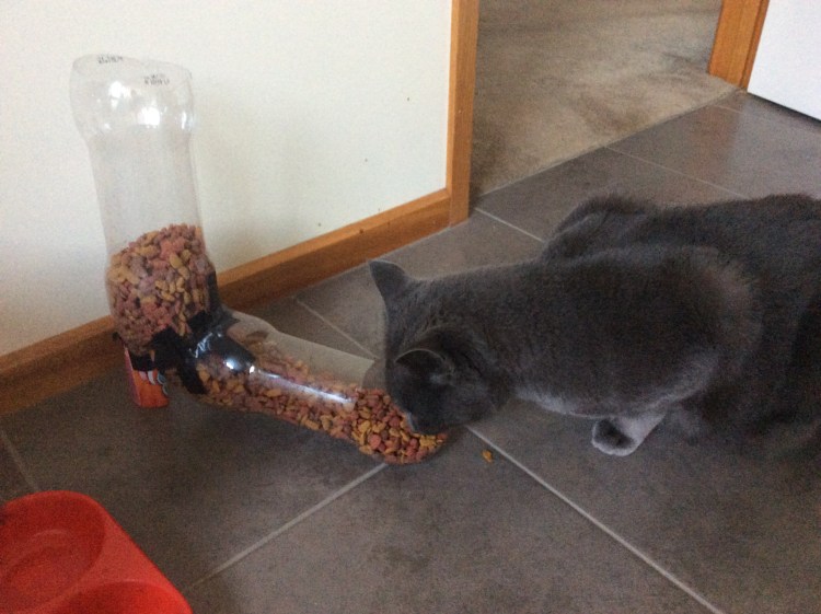 Кормушка на стойке