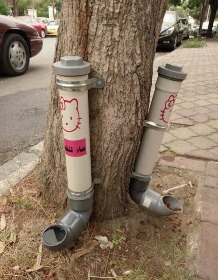 Кормушка из канализационной трубы для кошек