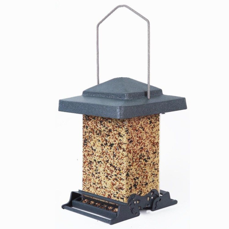 Кот в скворечнике