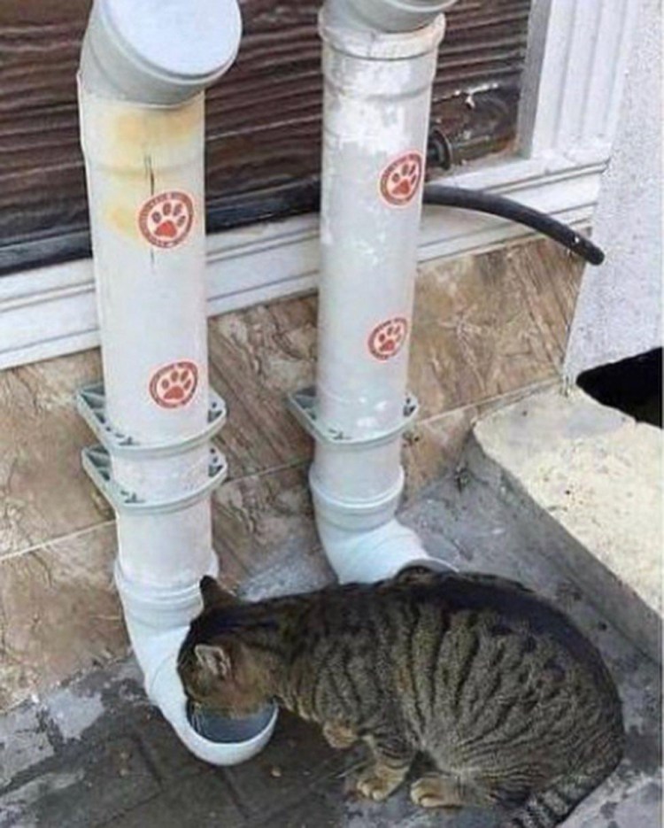 Кормушка для кошек из пластиковых труб