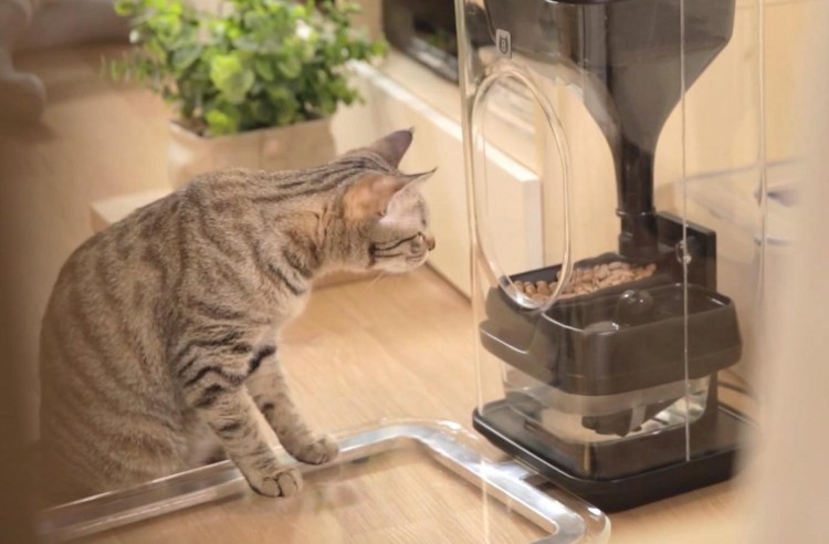 Кормушка для кошек из пластиковых бутылок