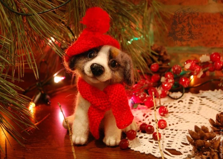 Собака Рождество
