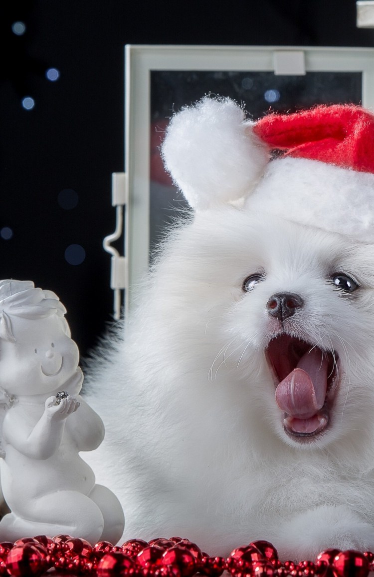 Собака под елкой